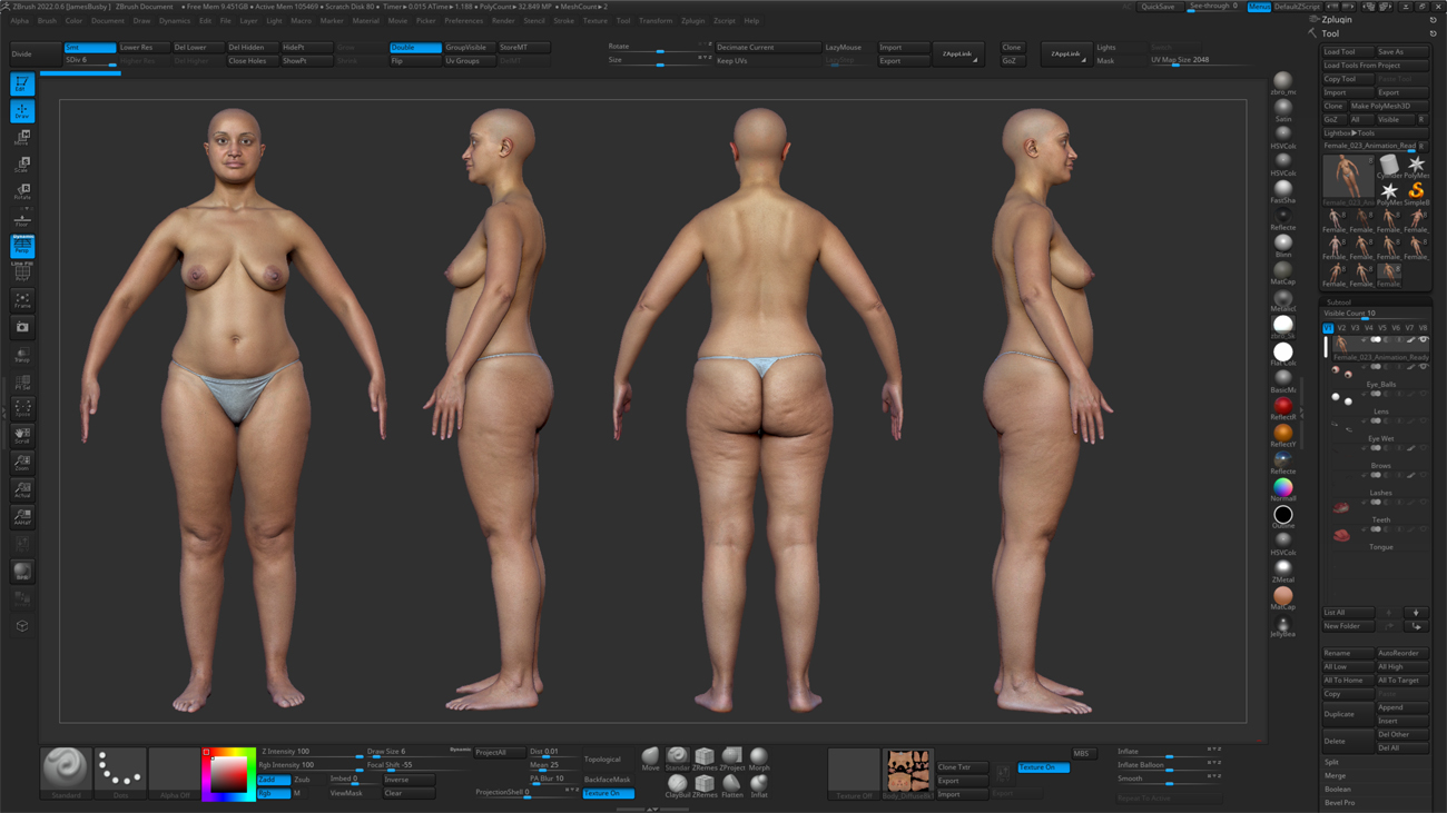 ZBrush ZTool render of a female 3D body scan at high subdivision level showing sculpt-ready geometry